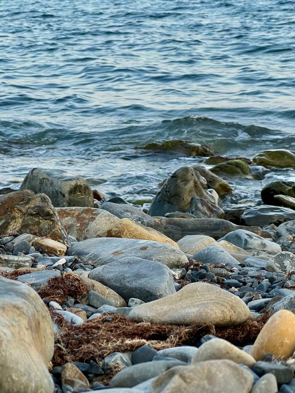 Фото Гостиницы Сашенька Южная Озереевка 118