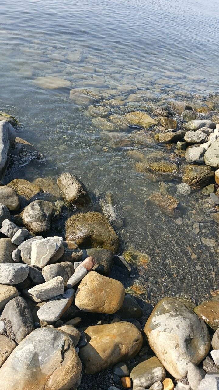 Фото Гостиницы Сашенька Южная Озереевка 129