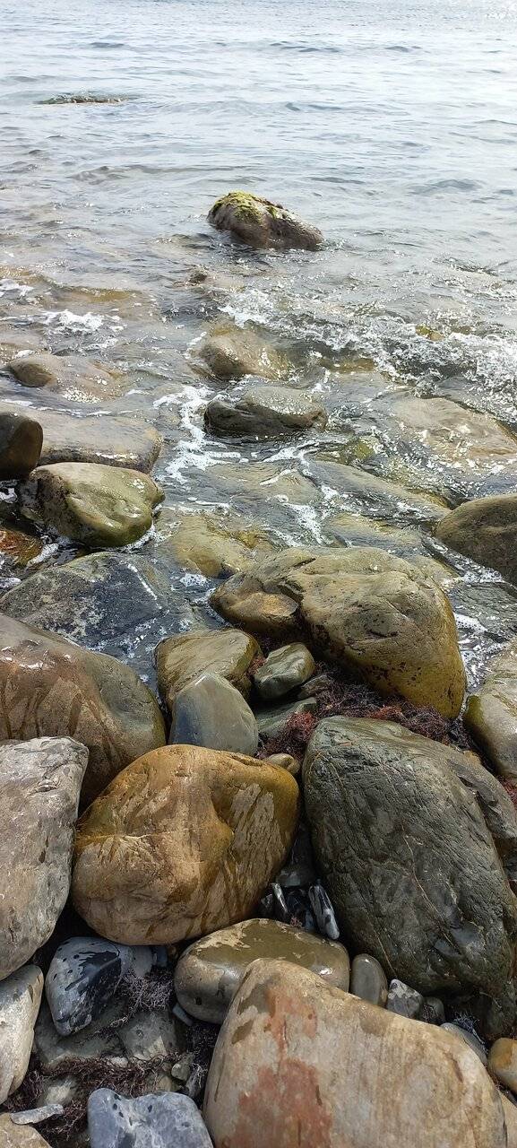 Фото Гостиницы Сашенька Южная Озереевка 71