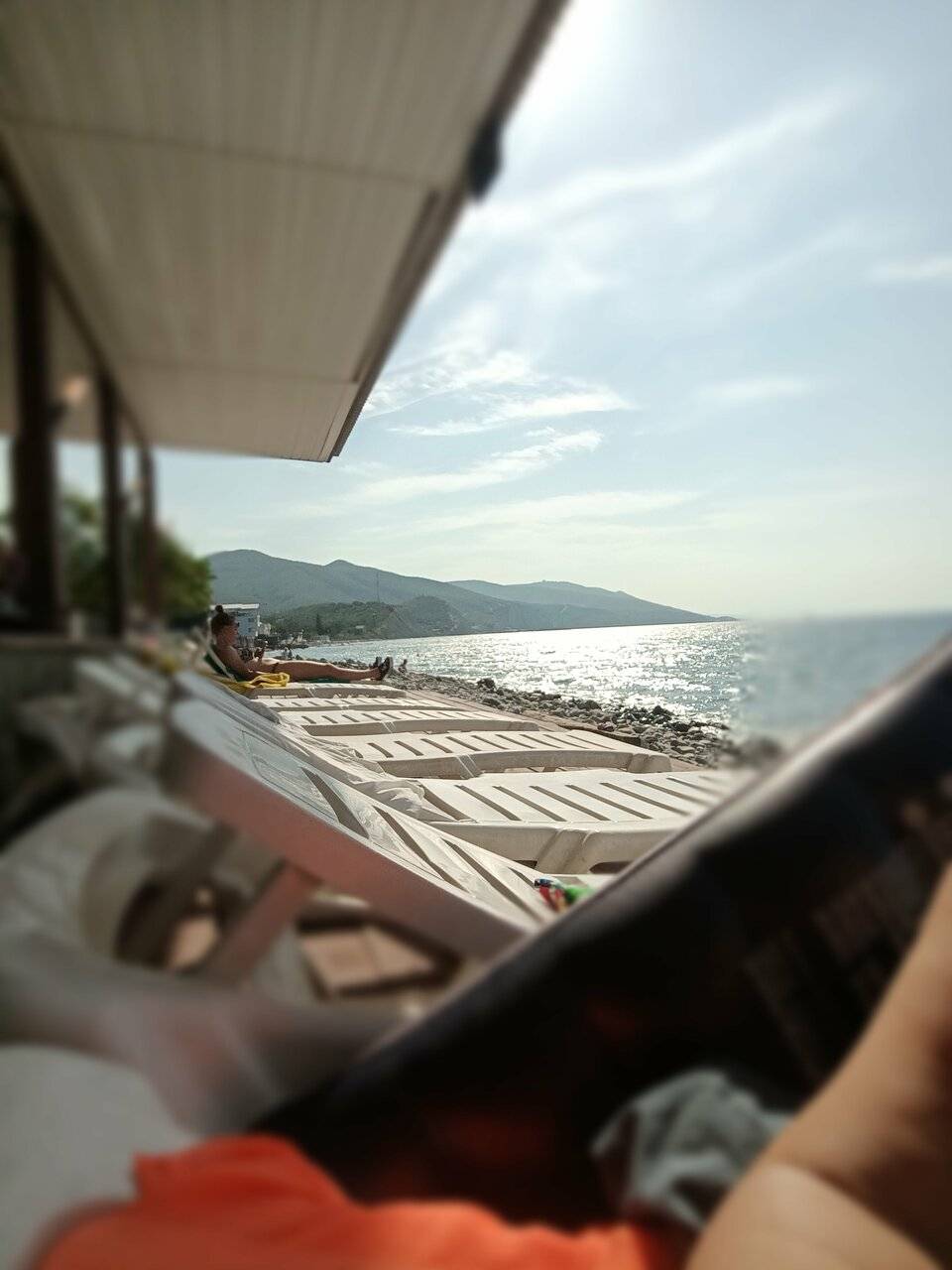 Фото Гостиницы Сашенька Южная Озереевка 58