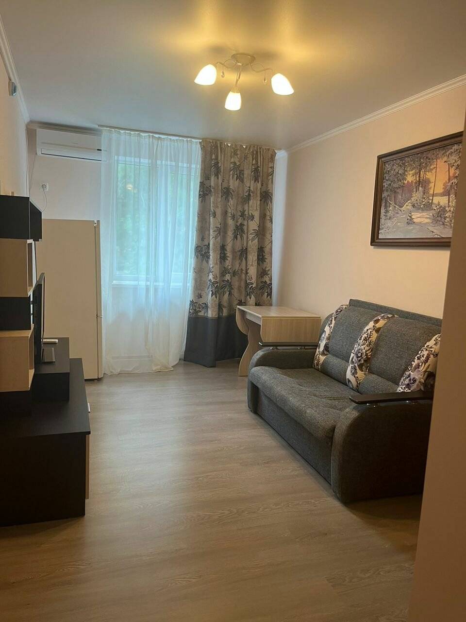 Фото Гостиницы Сашенька Южная Озереевка 43