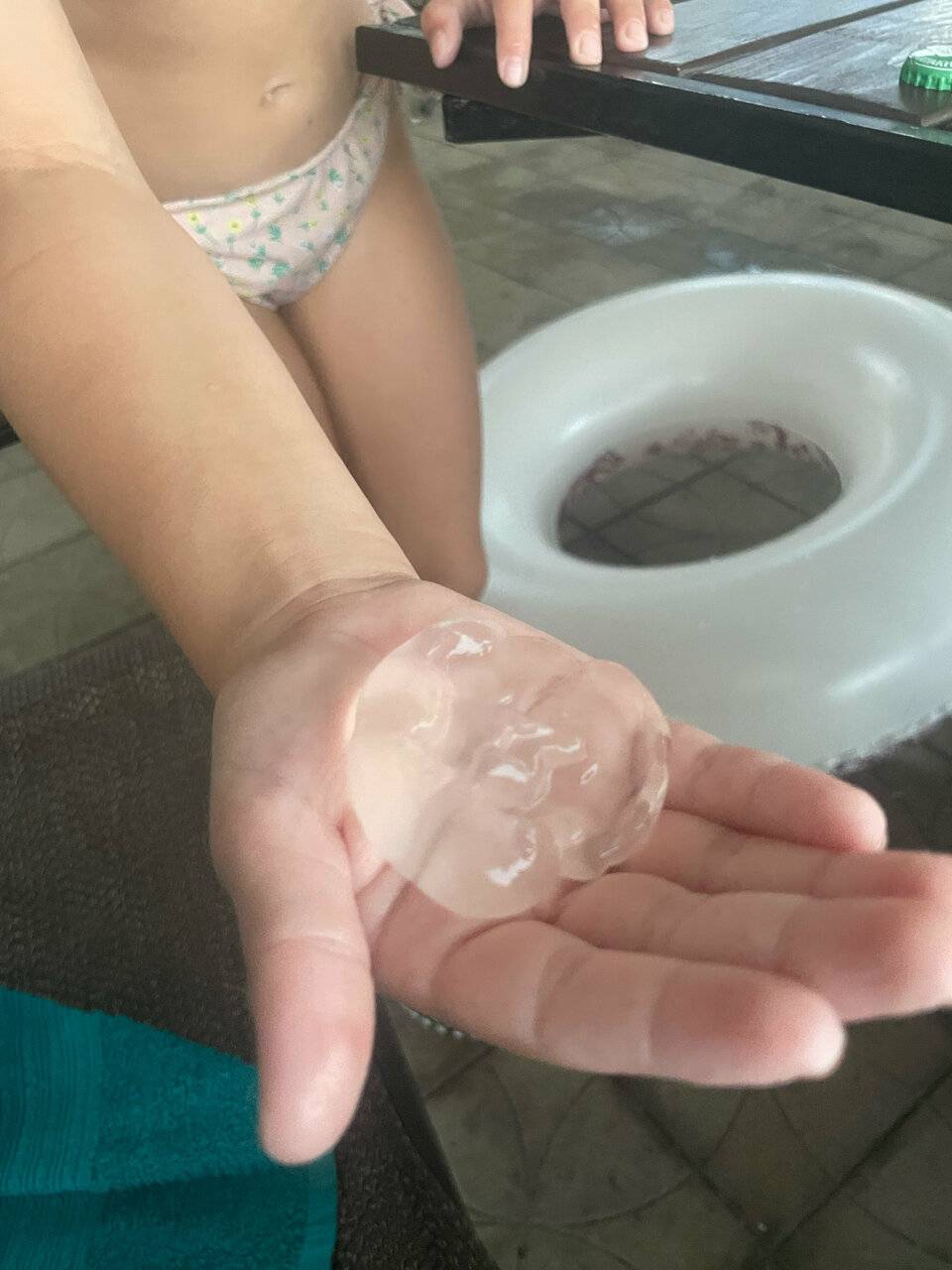 Фото Гостиницы Сашенька Южная Озереевка 82