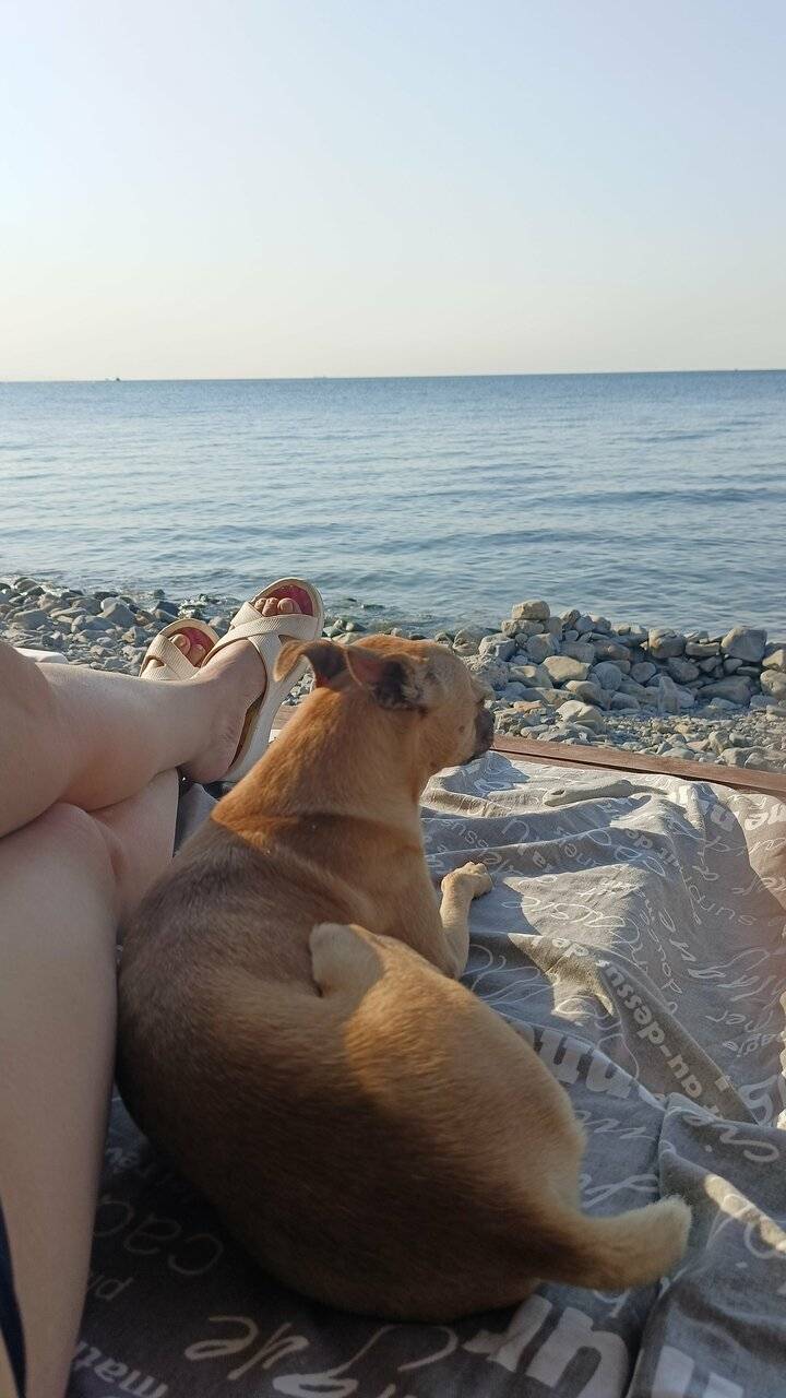 Фото Гостиницы Сашенька Южная Озереевка 76