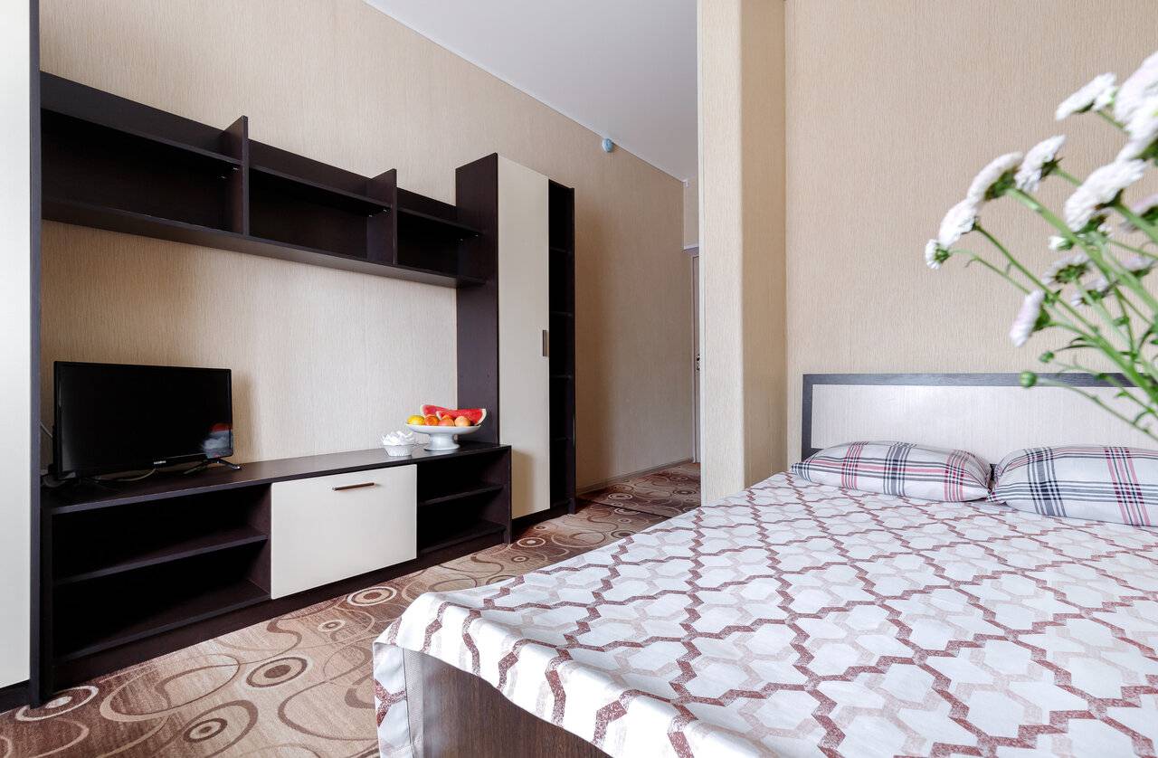 Фото Гостиницы Сашенька Южная Озереевка 22